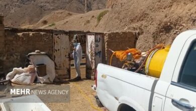 شریعتی: خدمات جهادی دامپزشکی در مناطق کمبرخوردار ادامه دارد شریعتی: خدمات جهادی دامپزشکی در مناطق کمبرخوردار ادامه دارد